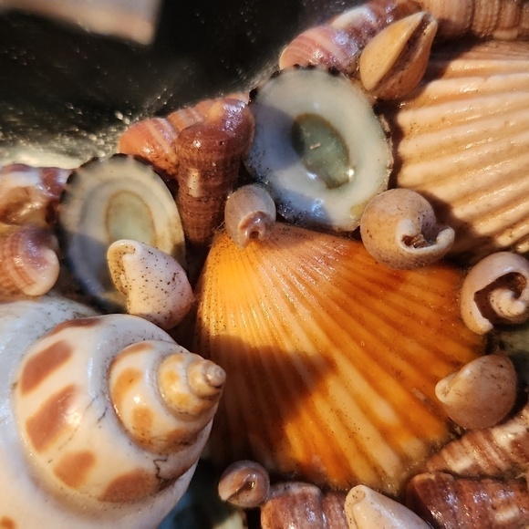 1970s handmade seashell oval mirror coastal beach - Picture 13 of 14